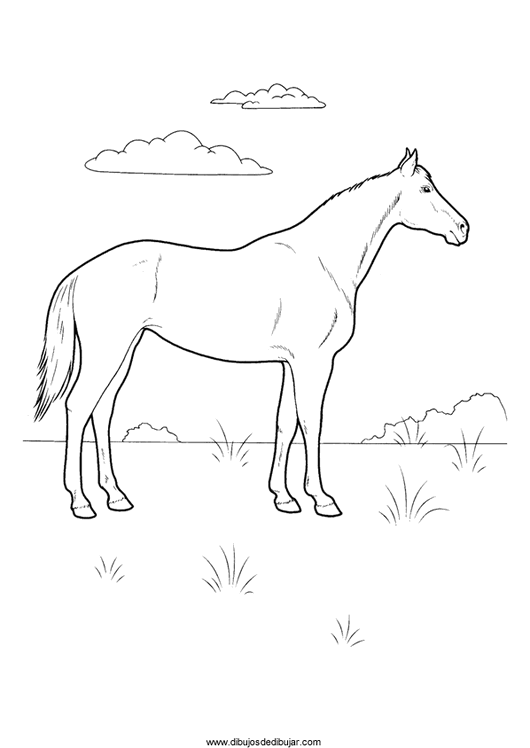 Coloring animals beautiful horse, coloring pages, children