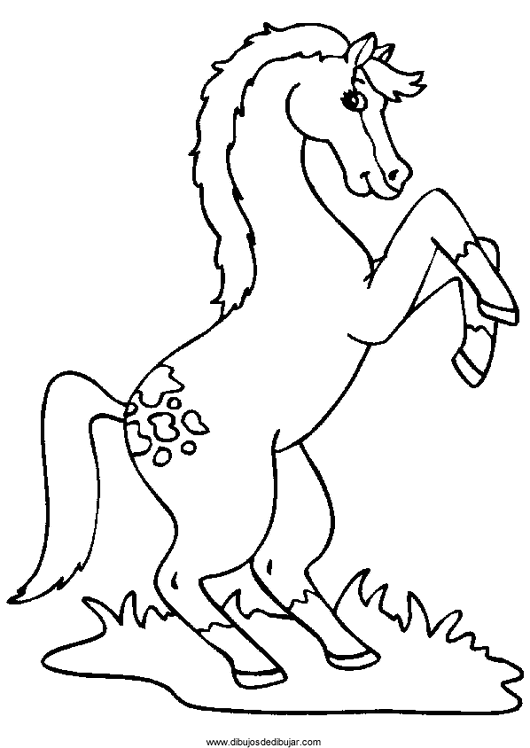Розмальовки Коні красива кінь, плямиста, розмальовки, коні