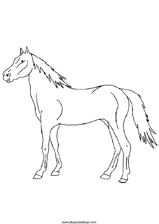 Розмальовки Коні розфарбування, коні, домашні тварини