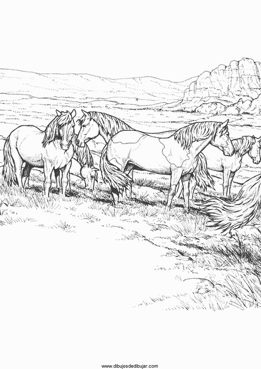 Розмальовки Коні розмальовки, коні, зграя, для дітей