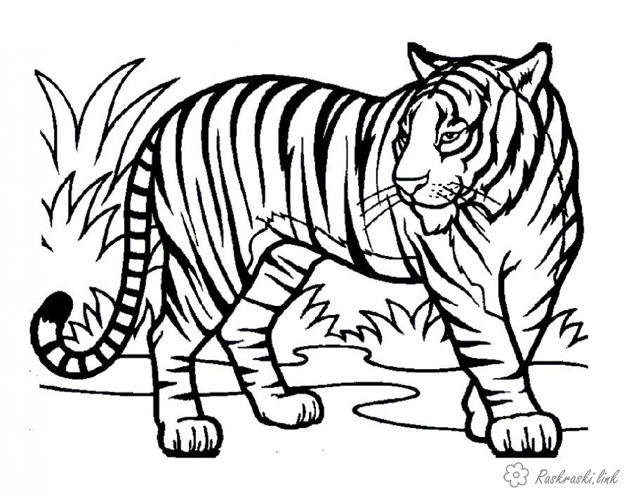 Розмальовки Природа розмальовки диких тварин, лев. </font><font>тигр, зебра, крокодил
