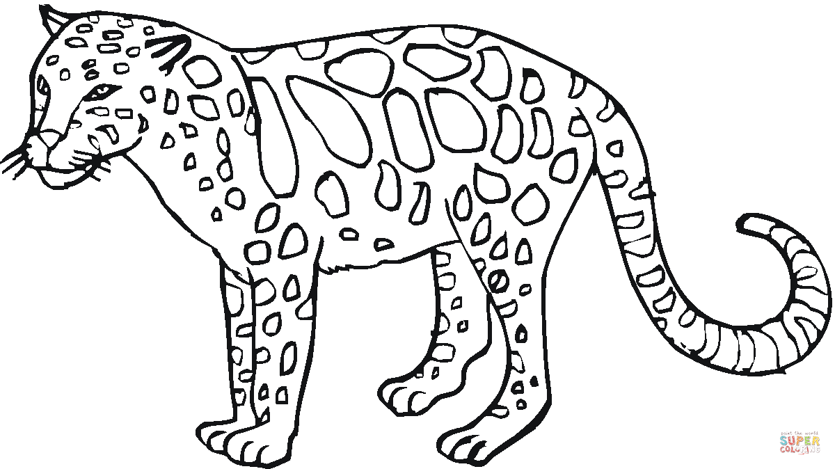 Розмальовки Дикі тварини розмальовки леопард, дика кішка, хижак