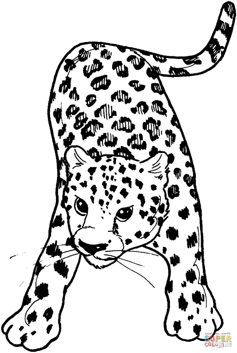 Розмальовки Леопард розфарбування леопард, тварини, дика кішка