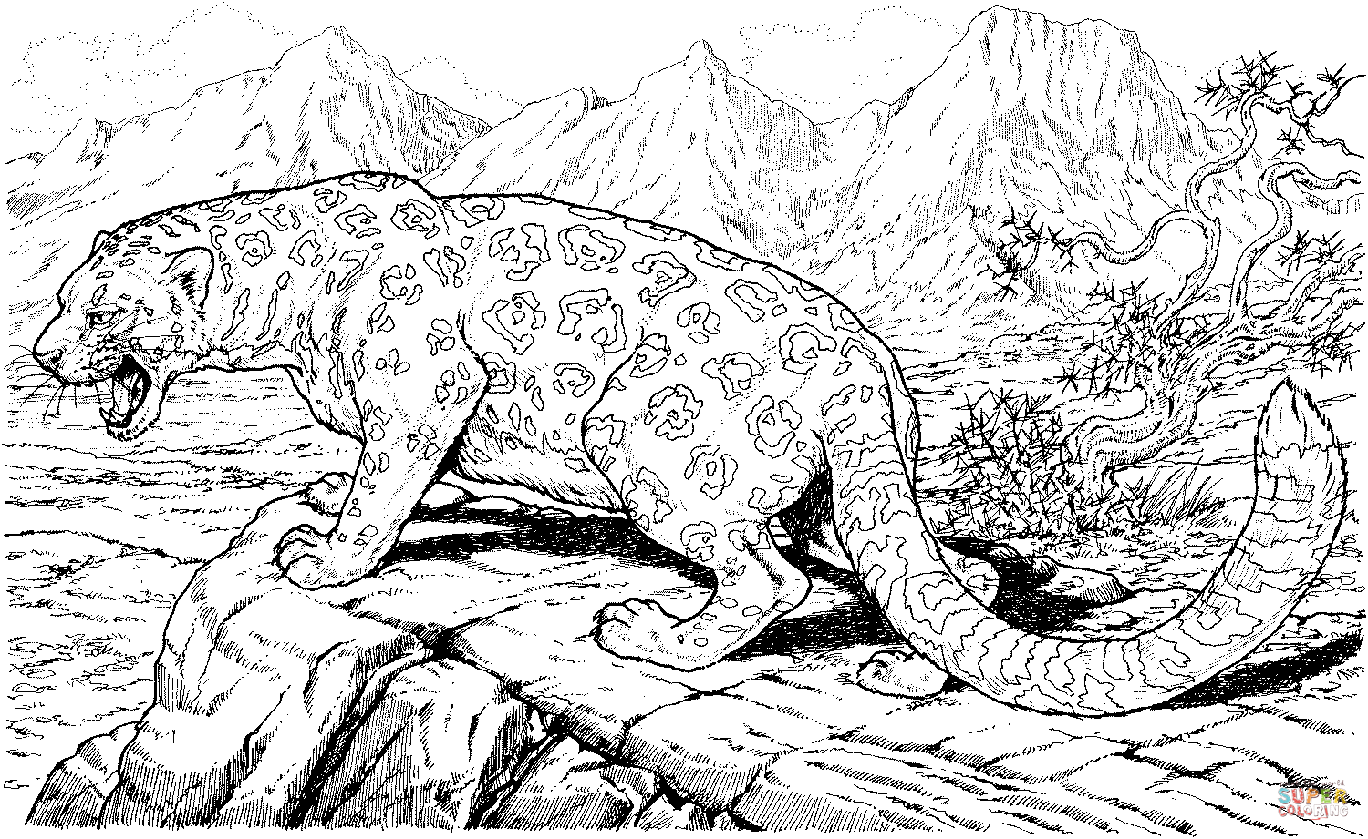 Розмальовки Леопард скеля, природа, ліс, трава, леопард