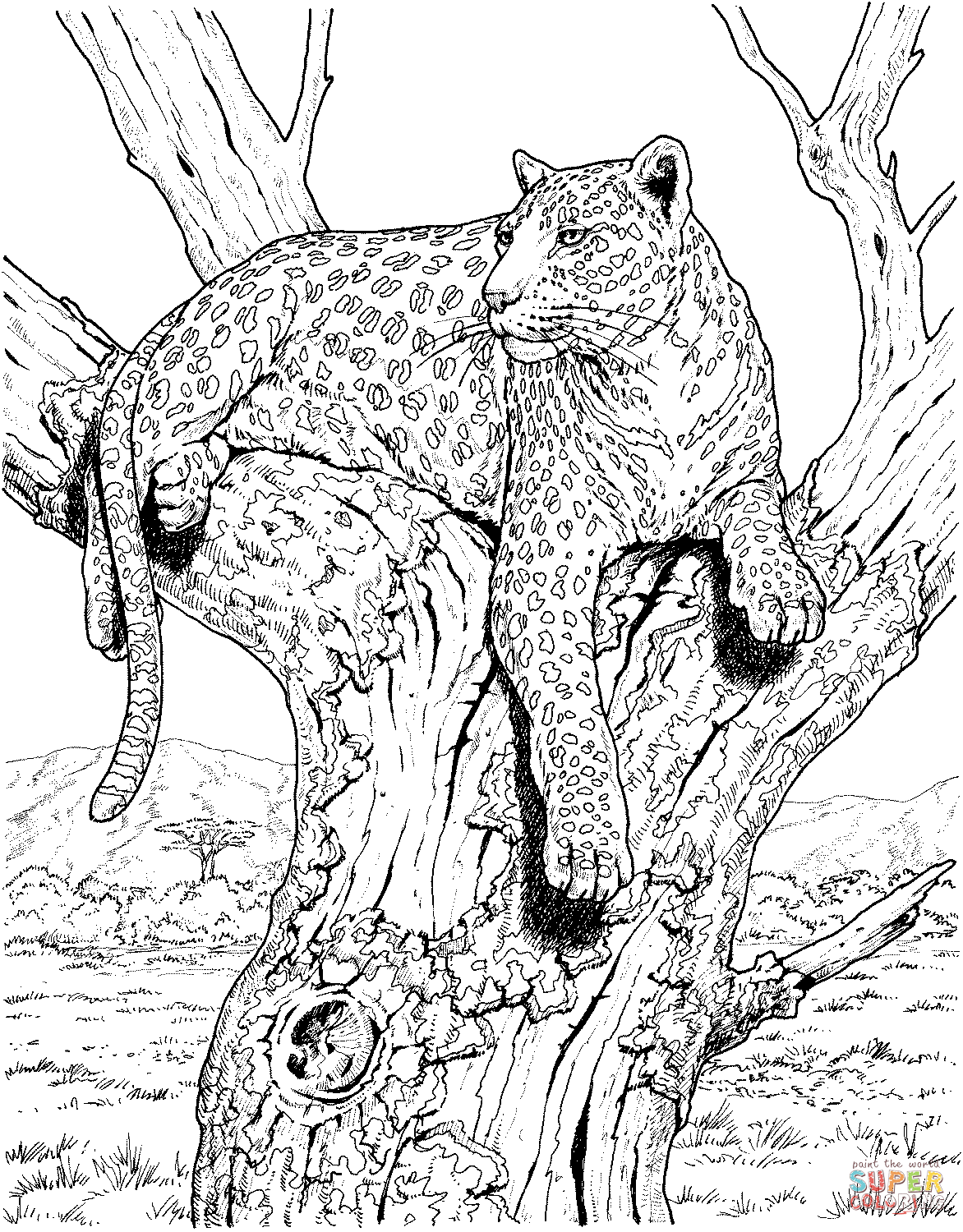 Розмальовки Леопард розфарбування леопард, дерево, природа