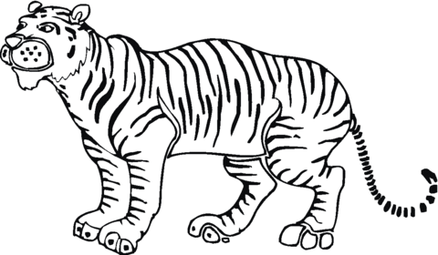 Розмальовки Тигр розмальовки тигр, для дітей, природа, тварини