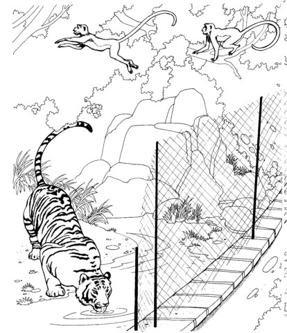 Розмальовки Тигр тигр, паркан, заповідник, дерева, розмальовки
