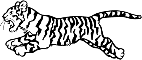 Розмальовки Тигр тигреня, біжить, розмальовки для дітей