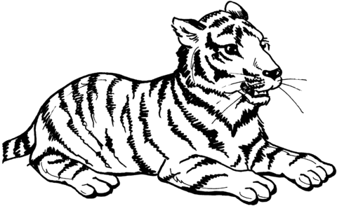Розмальовки Тигр розмальовки для дітей, тигреня, сидить