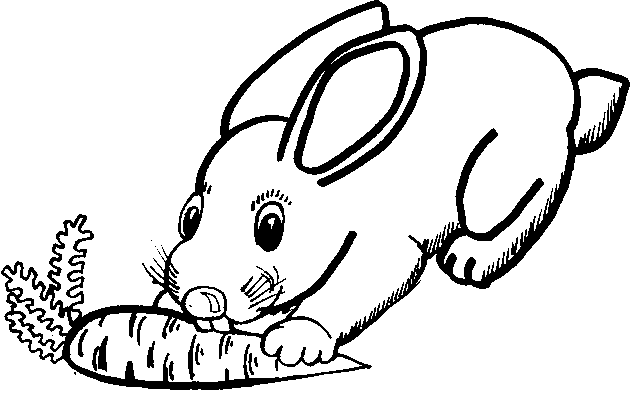 Розмальовки Кролики  кролик, морквина, природа, домашні тварини