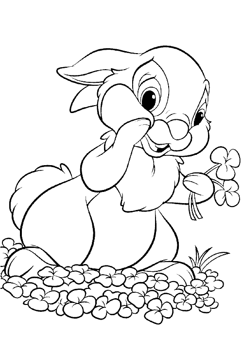 Розмальовки Кролики  кролики, квіти, луг, розмальовки для дітей