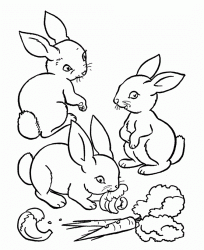 Розмальовки Кролики  розмальовки три кролики, морква, домашні тварини