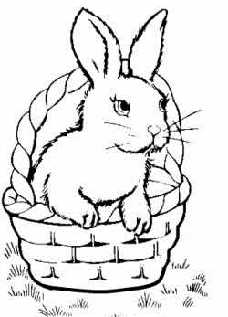 Розмальовки Кролики  кролик, корзинка, розфарбування для дітей    
