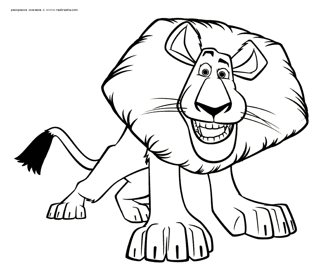 Розмальовки Лев лев Алекс, розмальовки для дітей, леви, хижаки