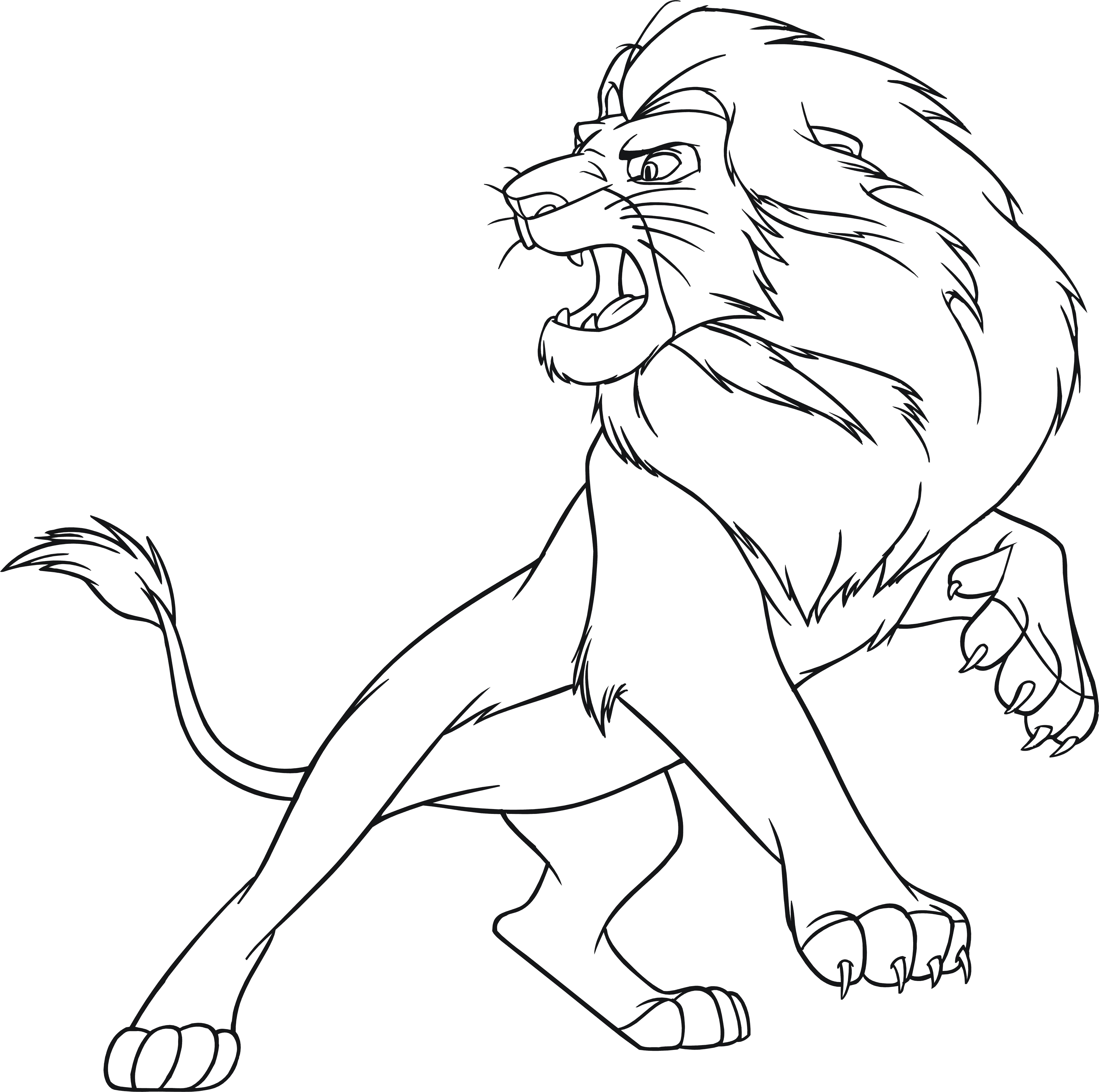 Розмальовки Лев злий лев, гарчить, природа, тварини, хижак