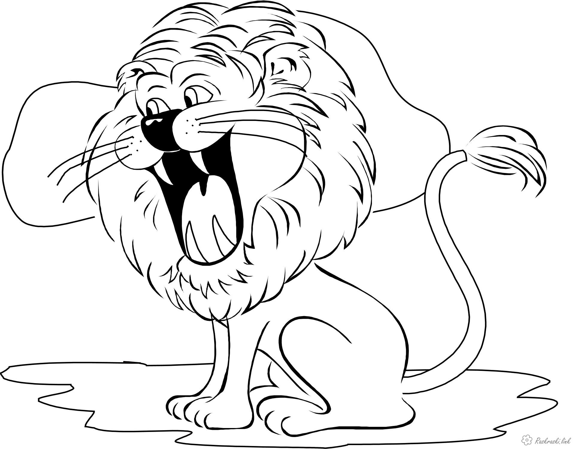 Розмальовки Лев зубастий левеня, розмальовки для дітей, хижак, з гривою