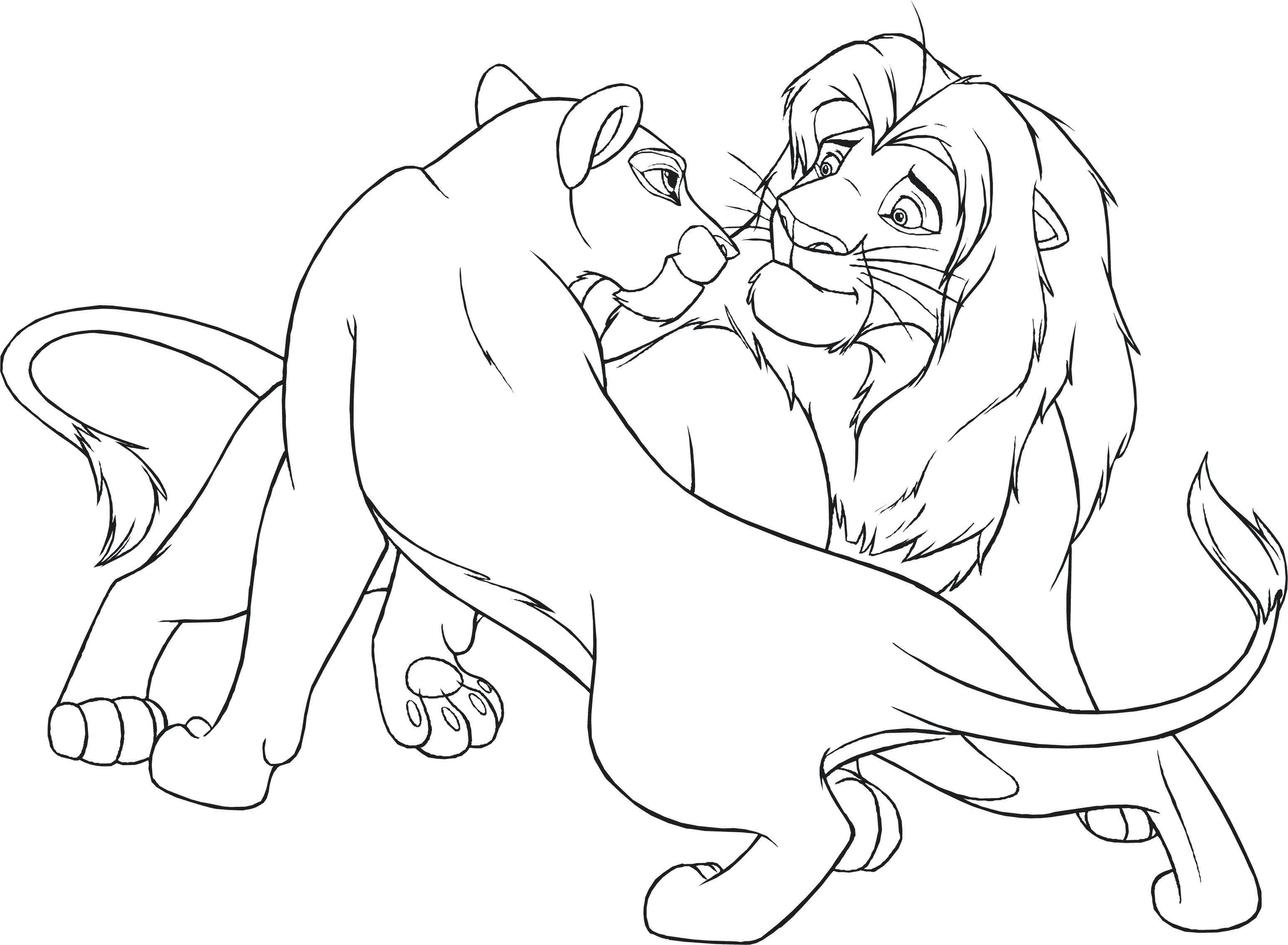 Розмальовки Лев лев і його левиця, розмальовки для дітей