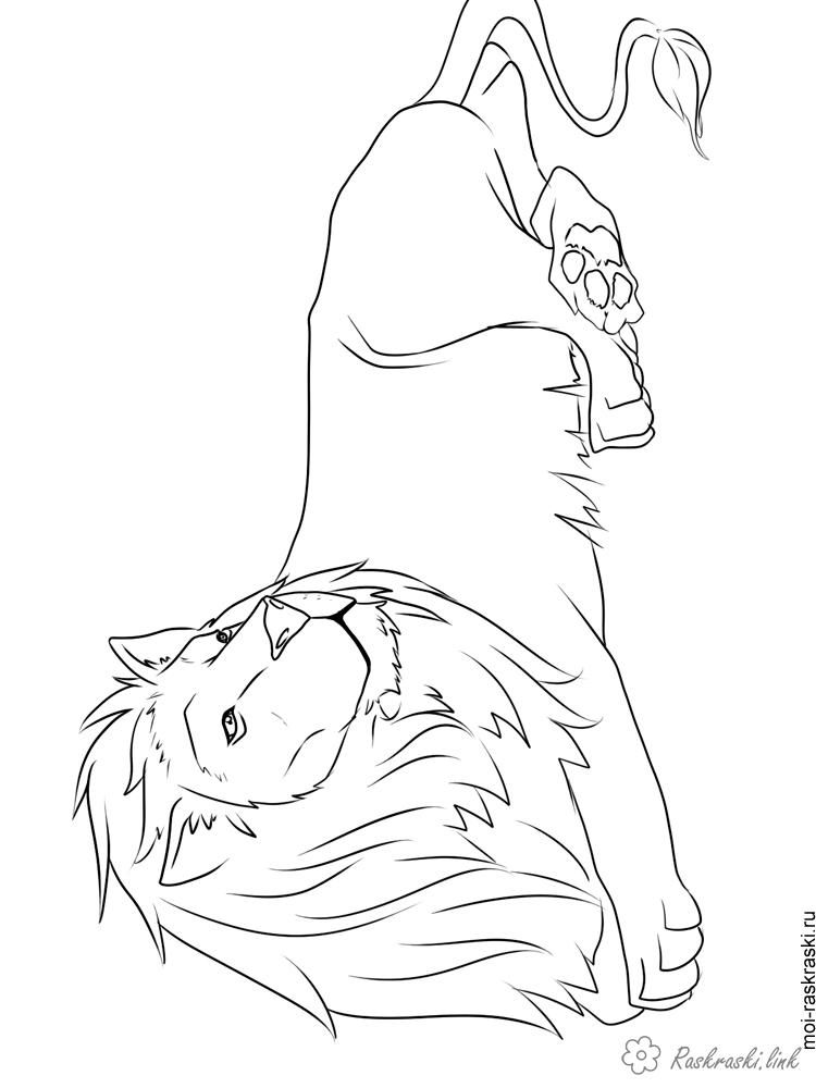 Розмальовки Лев лежачий лев, розмальовки для дітей