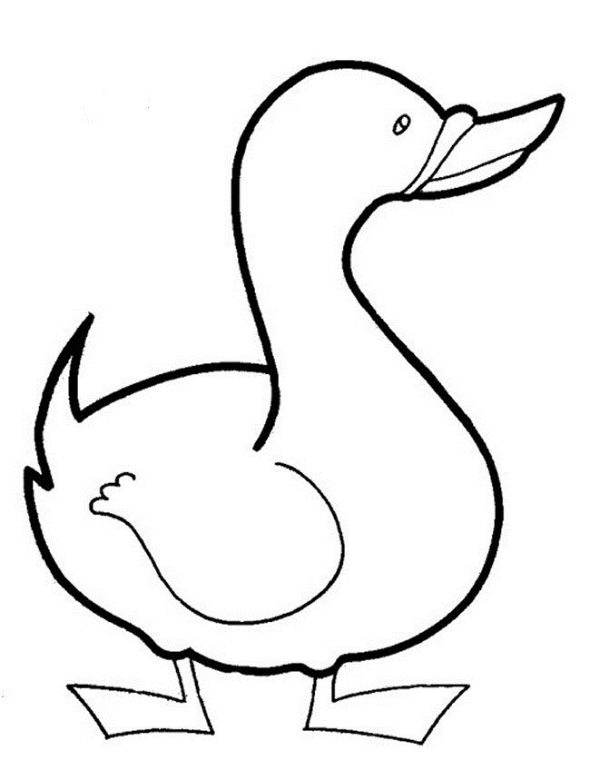 Coloring important important duck, coloring pages books, for children
