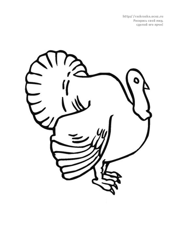 Розмальовки Indjuk розфарбування індиків, домашні тварини, птахи