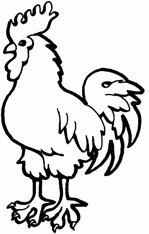 Coloring Hen and Rooster coloring pages rooster, poultry