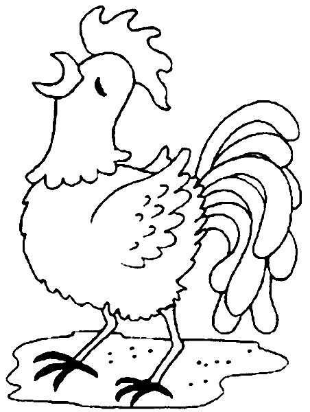 Розмальовки Курка і півень петя півник, розфарбування домашні птахи