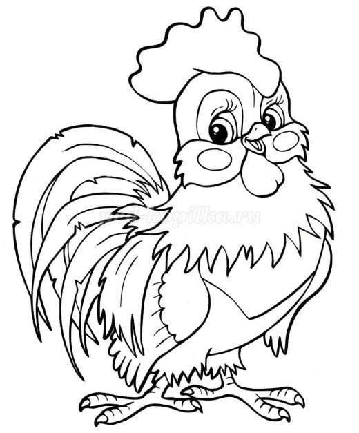 Coloring Hen and Rooster coloring pages little rooster coloring pages