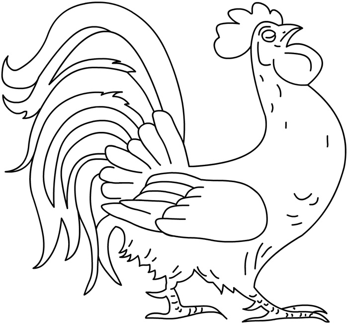 Coloring animals Cockerel important for children, coloring pages books