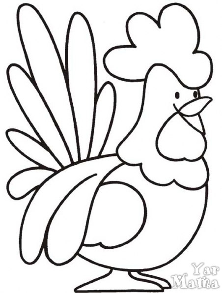 Coloring Hen and Rooster plump rooster coloring pages for kids