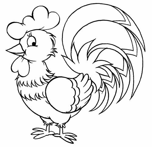 Coloring Hen and Rooster coloring pages beautiful cock for children