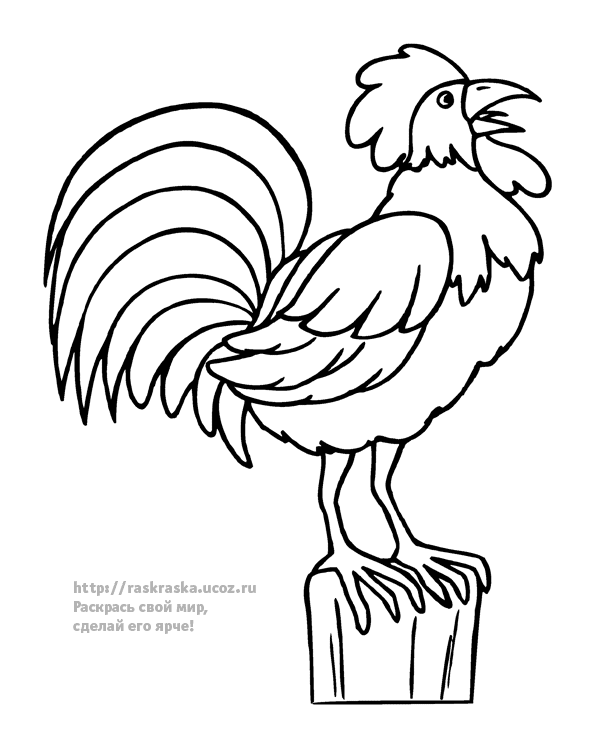 Coloring Hen and Rooster coloring pages Cockerel, singing, morning
