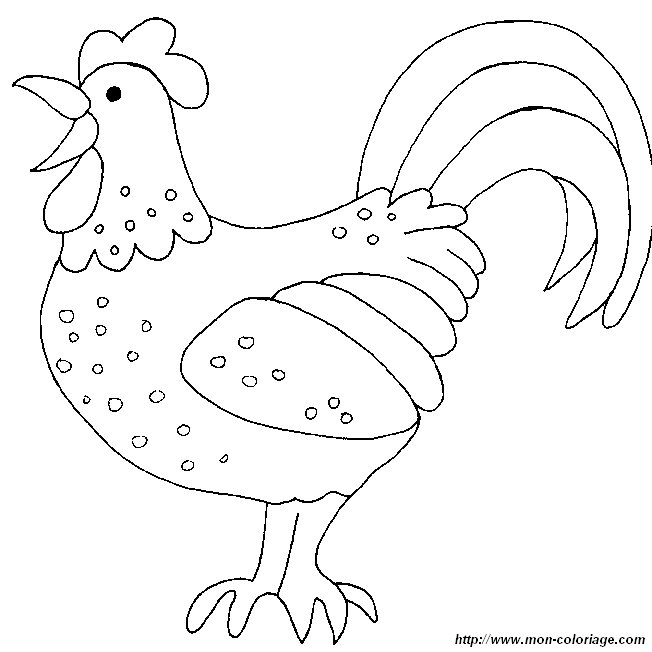 Coloring Hen and Rooster Spotted Cockerel, coloring pages, poultry