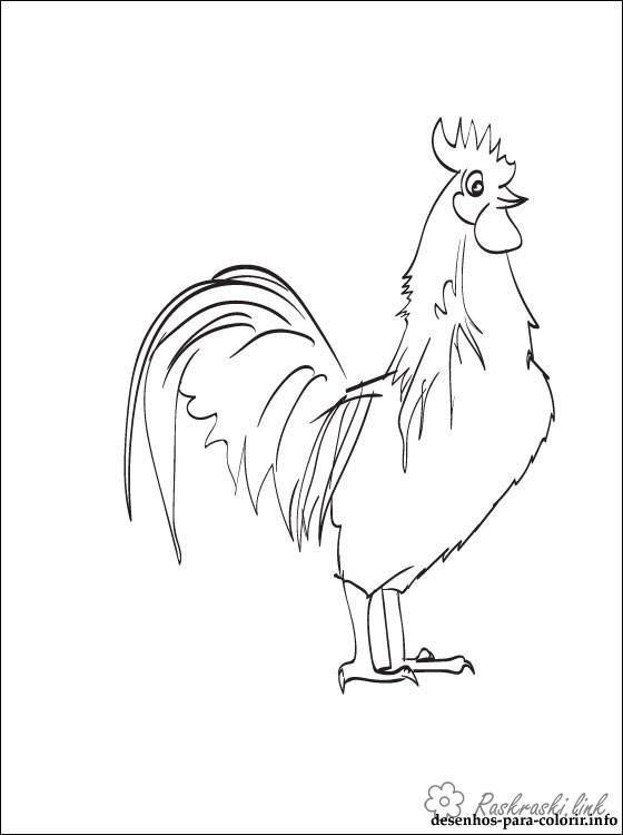 Coloring Hen and Rooster handsome rooster coloring pages pages for kids