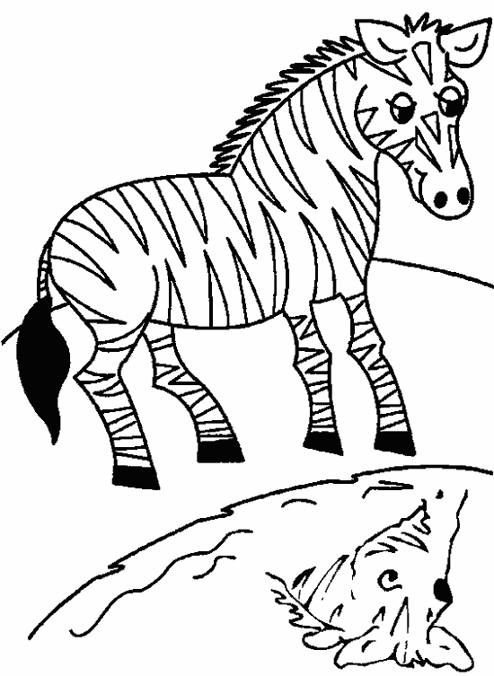 Розмальовки Зебра зебра, вода, природа, розмальовки для дітей