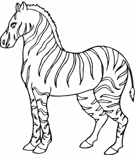 Розмальовки Зебра розмальовки зебра, для дітей, дикі тварини