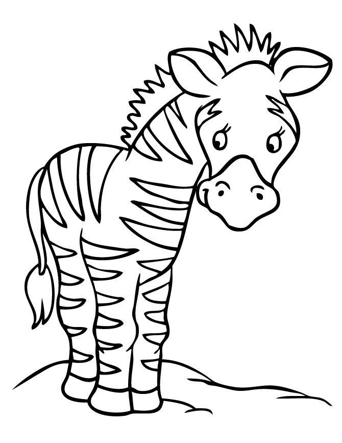 Розмальовки Зебра зебра, розфарбування, маленька, Зебренок