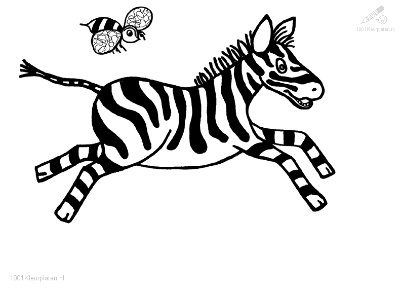 Розмальовки Зебра біжучий зебра, розмальовки для дітей, бджілка летить