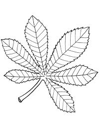 Розмальовки Листя дерев трафарети листя для виробів