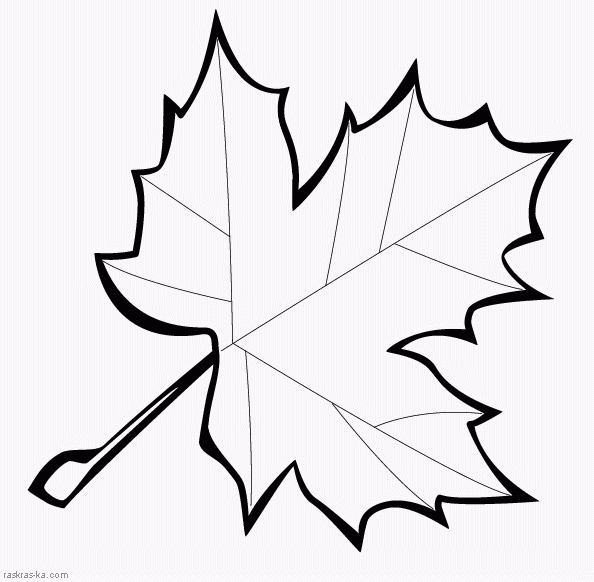 Розмальовки Листя дерев лист