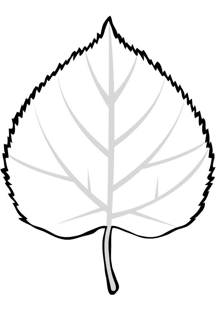 Розмальовки Листя дерев контур аркуша