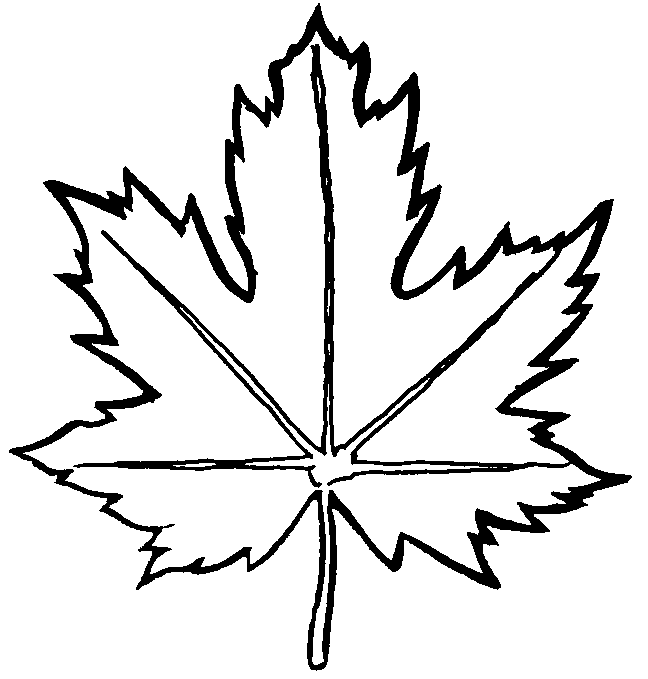 Розмальовки Листя дерев трафарет листя дерев канадський клен