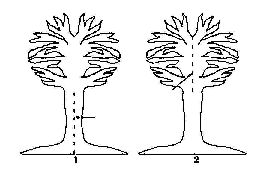 Розмальовки Дерева для вирізання з паперу аплікація в дитячому садку по шаблонах дерев