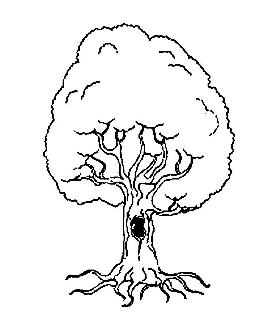 Розмальовки Дерева для вирізання з паперу дерево
