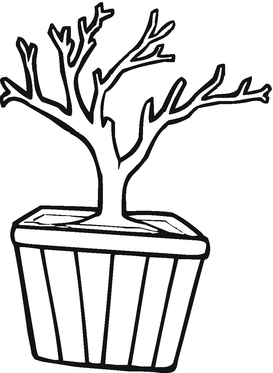 Розмальовки Дерева без листя дерево без листя