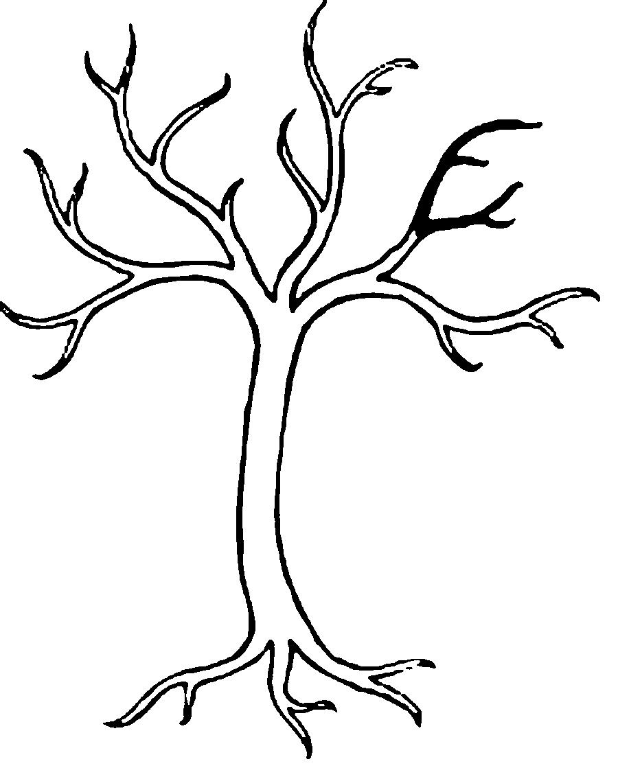 Розмальовки Дерева без листя 
