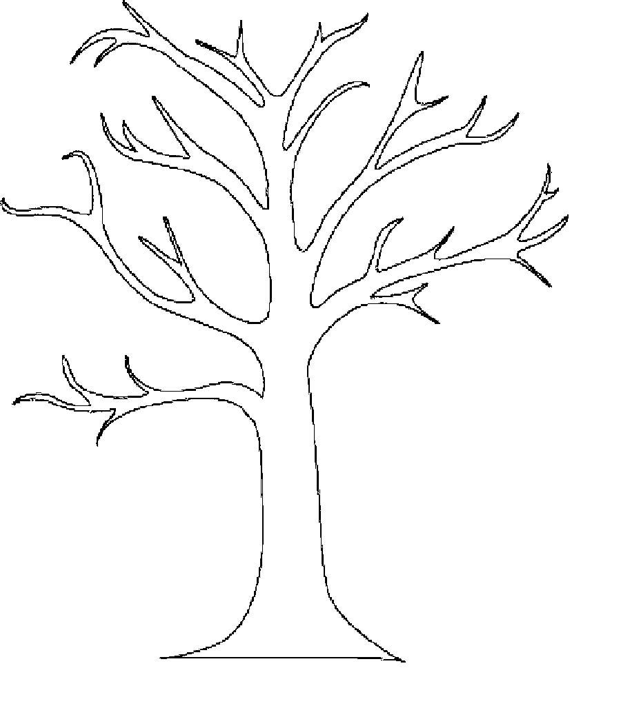 Coloring tree stencil tree without leaves