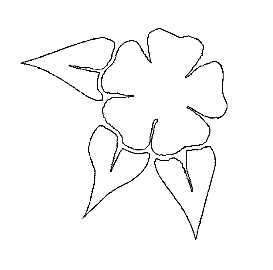 Розмальовки квіти 