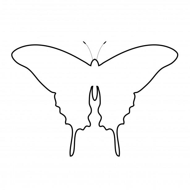 Розмальовки метелики вирізати з паперу метелик контур для вирізання з паперу