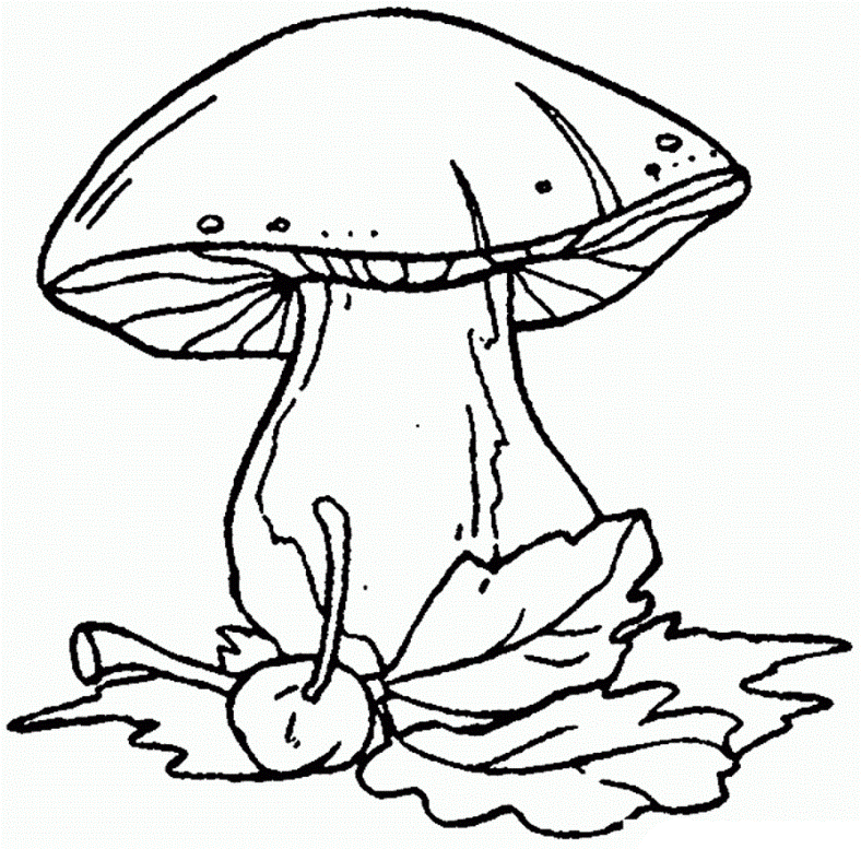 Розмальовки шаблон гриба гриб з листям для аплікацій, контури для вирізання з паперу