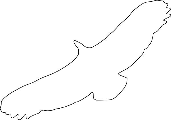 Розмальовки Контури птахів орел контур, птиця контур для вирізання з паперу
